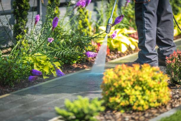 Reliable Cadott, WI Pressure Washing Solutions